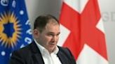 Georgian Dream MP Nikoloz Samkharadze told AFP that the new law has 'nothing to do with the Russian' version