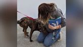 5-legged pup gets adopted from Wisconsin Humane Society