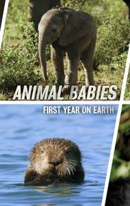 Animal Babies: First Year on Earth