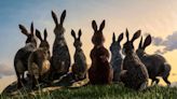 Watership Down (2018) Season 1 Streaming: Watch & Stream Online via Netflix