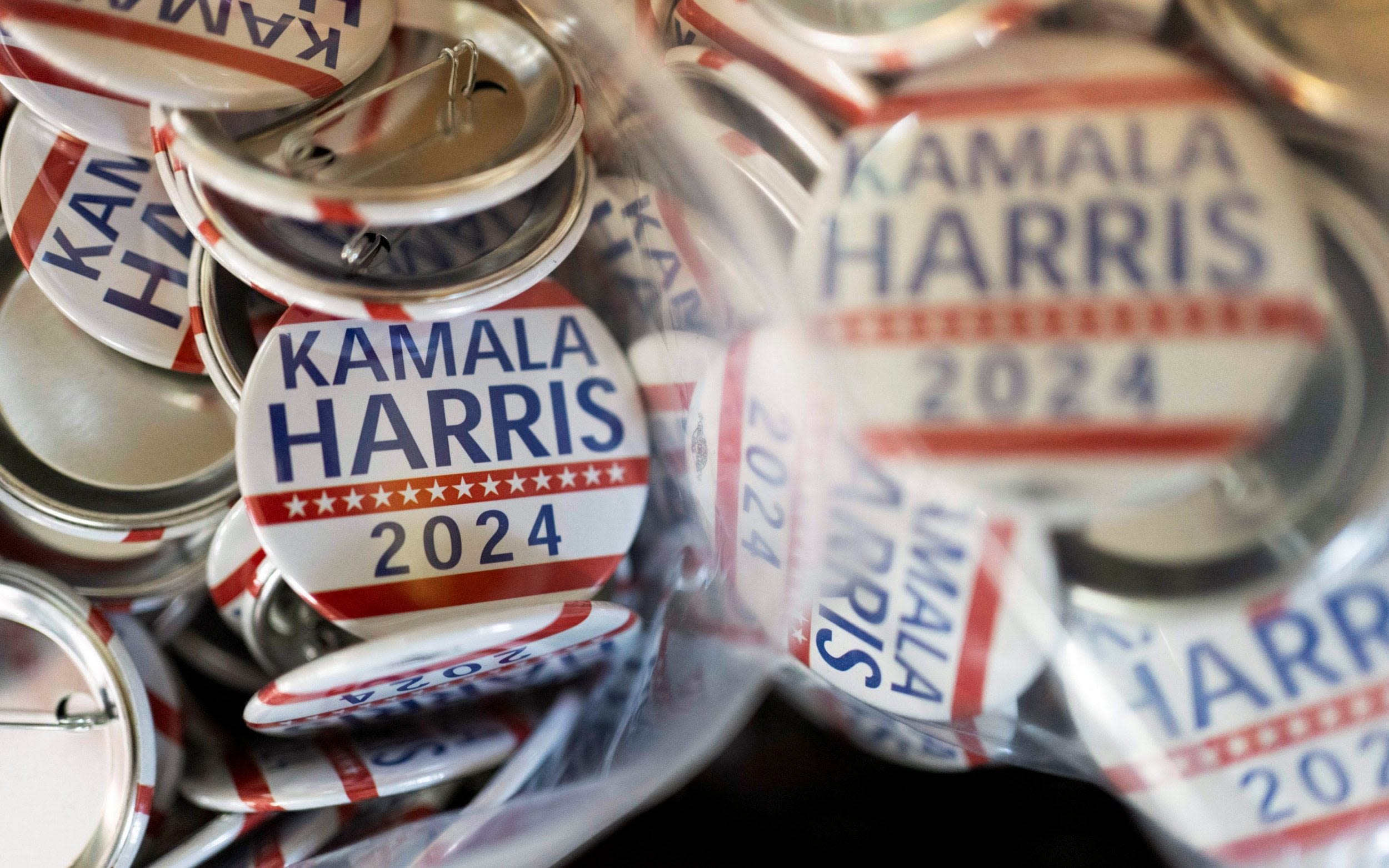 ‘White Dudes for Harris’ hold mass online meeting to support Kamala