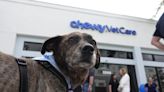 Chewy’s new vet care clinics aim to revolutionize the pet business again