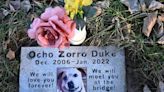 Caskets, headstones and love: These 50 acres in Kansas City help pet owners say goodbye