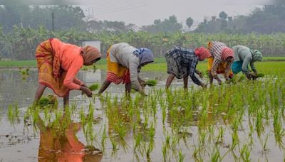 Budget 2024 | Why to focus on empowering women farmers with technology to transform agricultural economy - CNBC TV18