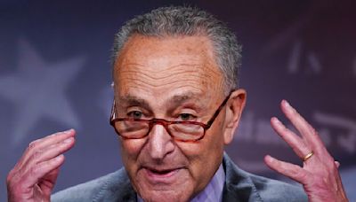 Chuck Schumer Plays Constitutional Chicken