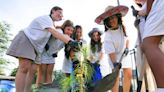 NASA ‘moon tree’ takes root at DeLand Catholic school