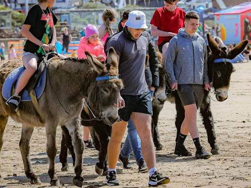 Campaigners in bid to ban beach donkey rides at popular seaside destination