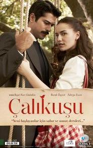 Çalıkuşu