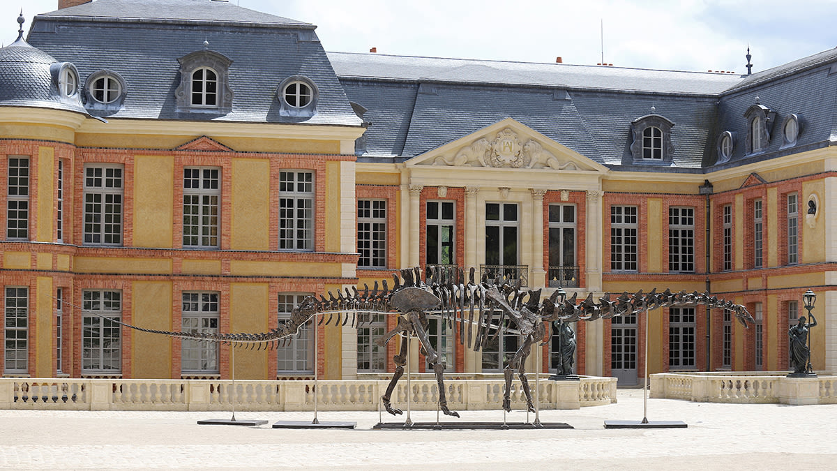 This Dinosaur Skeleton Is One of the World’s Largest. It Could Fetch up to $5.4 Million at Auction.