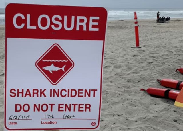 Man Survives Shark Attack In California During Group Swim