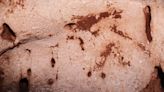 Cave art dating back 24,000 years discovered in Spain