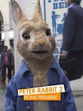 Peter Rabbit 2