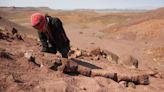 Una antigua criatura de los pantanos con cabeza en forma de asiento de inodoro fue un gran depredador antes de los dinosaurios