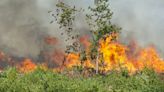 Largest wildfire in Louisiana history caused by arson amid burn ban