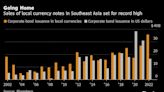 本幣貶值 東南亞在岸信用債發行規模創紀錄