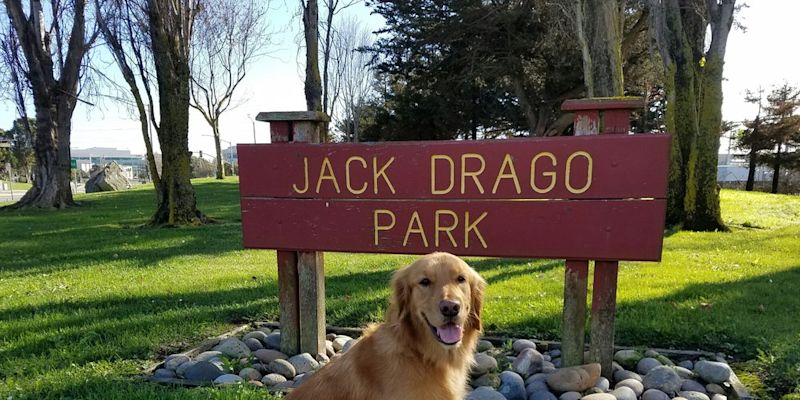 Jack Drago Park South San Francisco Yahoo Local Search Results