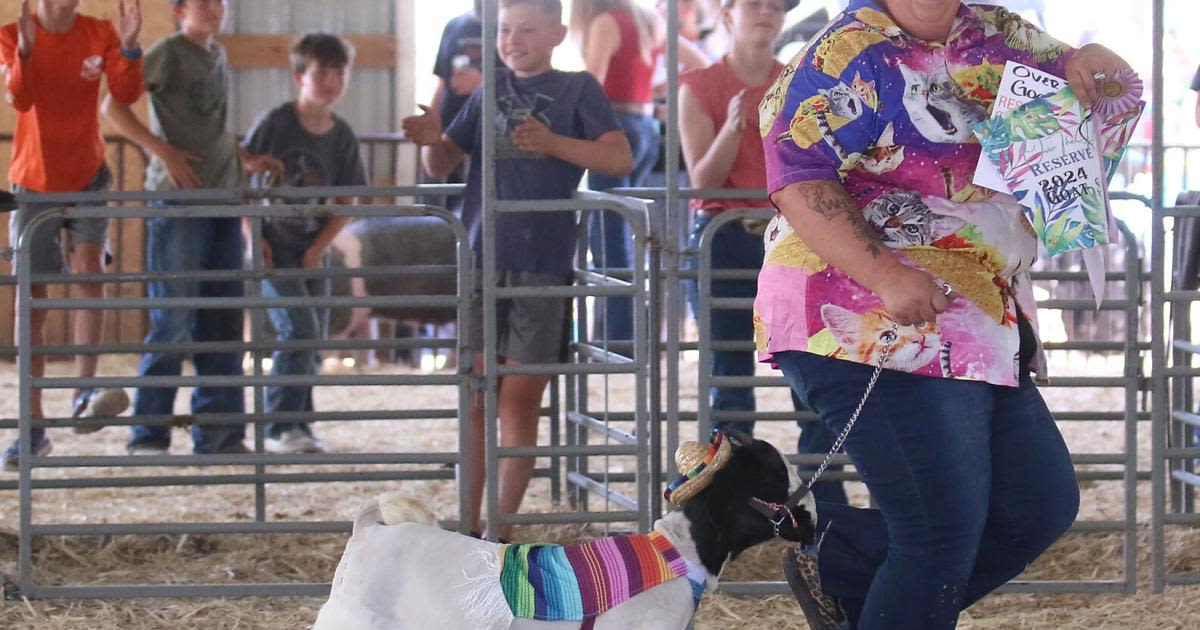 Over the Hill contest swiftly turns to chaos at the Albany County Fair