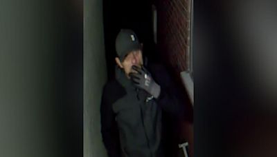 Man tries to break into elderly woman's house through bedroom window