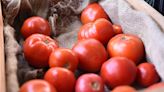 Por qué volvió a subir el precio del tomate y de ciertas hortalizas | Economía