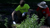 Solidarity Gardens help Urbana teens bloom where they’re planted