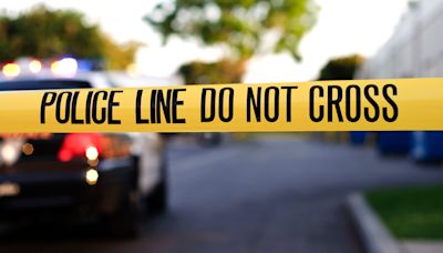 Father, 2 children found dead at Surprise, Arizona home in apparent murder-suicide: Police