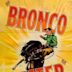 Bronco Buster (film)