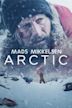 Arctic (film)