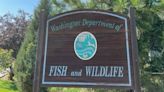 Washington Fish and Wildlife Commission taking comment on science policy