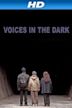 Voices in the Dark