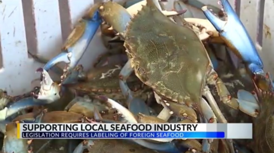 Lafayette service manager talks importance of supporting local seafood industry