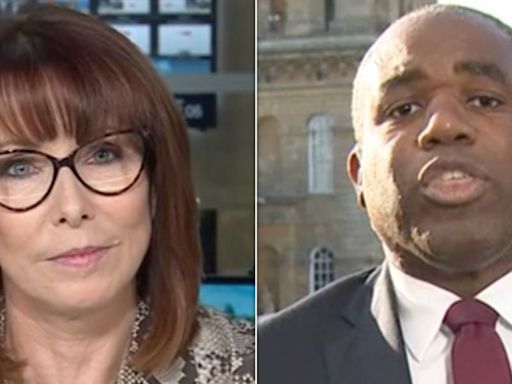David Lammy Has Defended Calling Donald Trump A 'Neo-Nazi Sociopath' And 'A Tyrant In A Toupee'