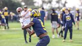 Former Michigan football 4-star WR expected to transfer to D-II school