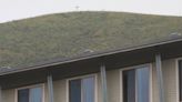 A mysterious cross popped up on a hill above Cal Poly. Will the university take it down?