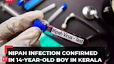 Nipah outbreak: 14-year-old boy in Kerala's Malappuram tests positive for virus; govt issues alert