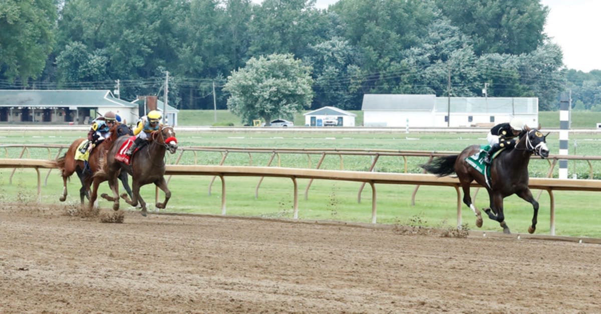 Maker Mulls Belmont Or Woody Stephens For The Wine Steward