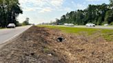 Treeland Drive now treeless, SCDOT takes them out