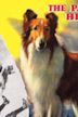 Lassie und die Goldgräber