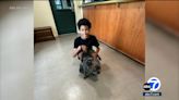 Stolen French bulldog found, reunited with Pasadena family