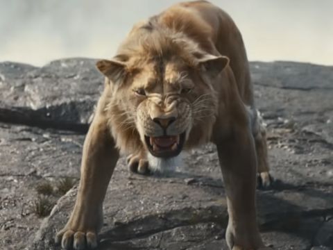 Mufasa Director Barry Jenkins Defends Movie: ‘There Is Nothing Soulless About The Lion King’