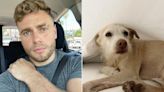 Gus Kenworthy Shows Off Injuries from Playing with His Dog, Jokes 'Swipe To See The Other Guy'