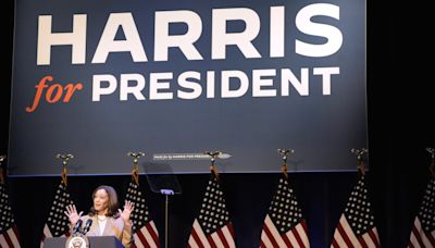 'White Dudes for Harris' is the latest in a series of Zoom gatherings backing the vice president