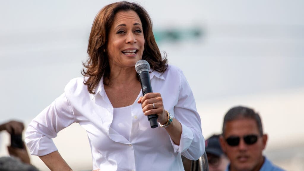 Nancy Pelosi Vs. Kamala Harris: Poll Shows Who People Think Is the Better Investor