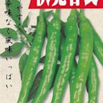 【大包裝蔬菜種子L250】伏見甘長辣椒（糯米椒），無辣味的甜辣椒，平地2月~10月都可種植