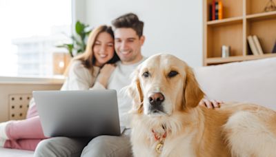 Amazon Pet Day: estos son los consejos de una experta para ahorrar mientras cuidas a tu perro o gato