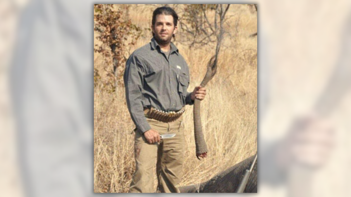 Fact Check: Pic Supposedly Shows Donald Trump Jr. Holding Severed Elephant's Tail. Here's What's Going On