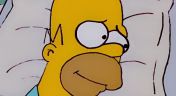 8. Homer Simpson In: Kidney Trouble