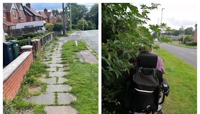 No Mow May 'excuse' leaves towns looking 'like something from a disaster movie'