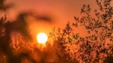 Calor e previsão de menos chuva levam a primeira bandeira amarela na energia em mais de 2 anos