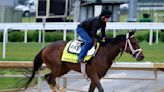 Kentucky Derby 2024 Contenders: Final Vegas Odds and Projections for Top Horses