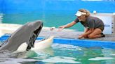 A pledge to move Lolita the killer whale from Miami Seaquarium, with Jim Irsay’s help